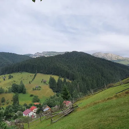 Alegria - Moieciu De Sus Penzion 3*